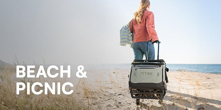 Arctic Zone : Coolers, Lunch Bags & Outdoor Gear