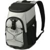 image:imageTitan by Arctic Zone Backpack Cooler Insulated Soft Sided Bag with Leak Proof Lining and Padded Straps for Lunch Picnic and Travel 24 Can CapacitySeagrass